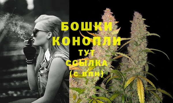 эйфоретик Кукмор