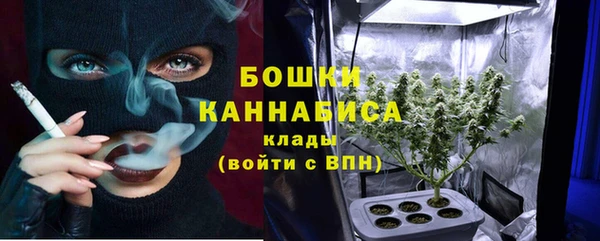 эйфоретик Кукмор