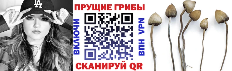 Галлюциногенные грибы Magic Shrooms  Малгобек 
