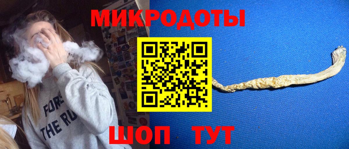 Псилоцибиновые грибы Psilocybe Малгобек